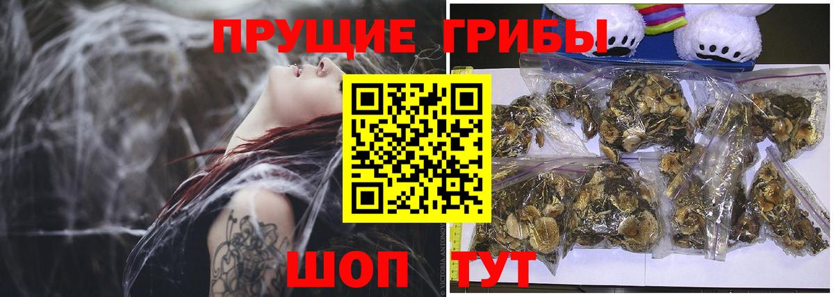 Псилоцибиновые грибы MAGIC MUSHROOMS Фрязино