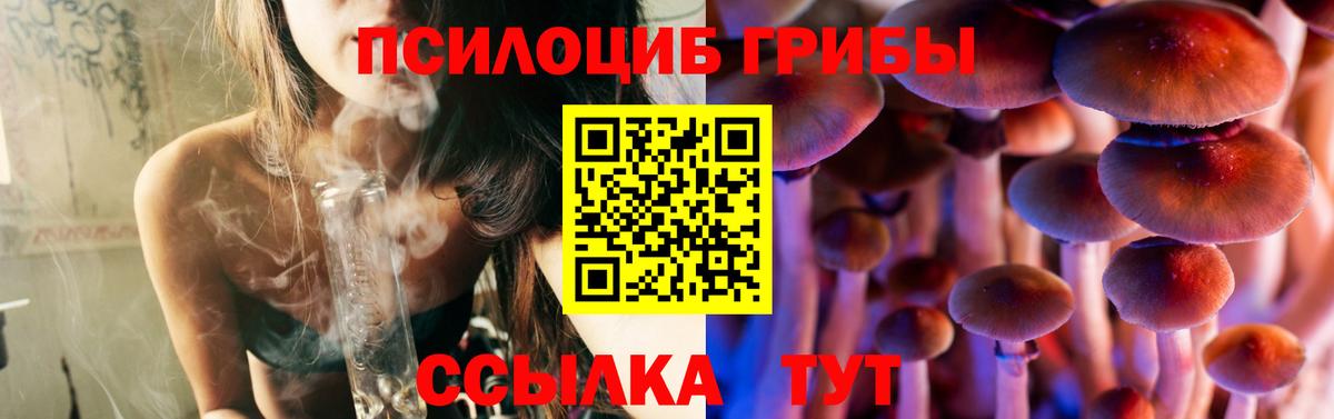 Псилоцибиновые грибы ЛСД  Вход с VPN  Фрязино 